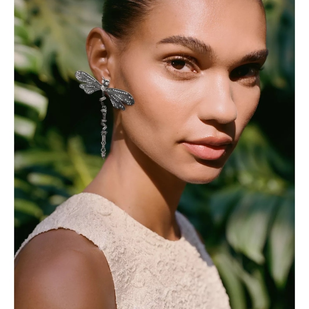 NWT Zara Silver Dragonfly Earrings